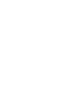 Logo Peugeot